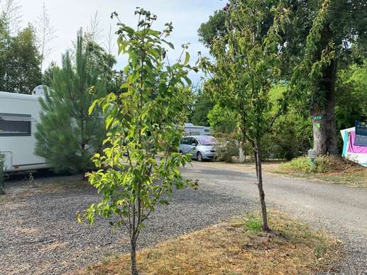 Added a photo to a location