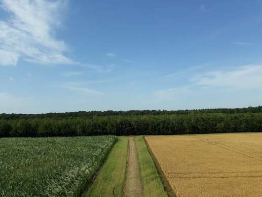 Ajout d'une photo à un emplacement