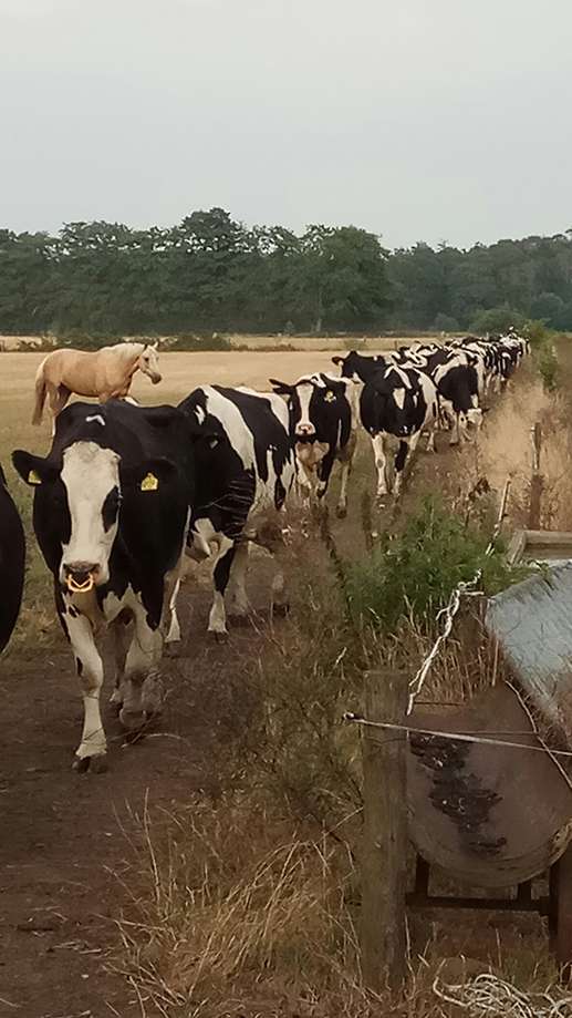 Aggiunta una foto a una posizione