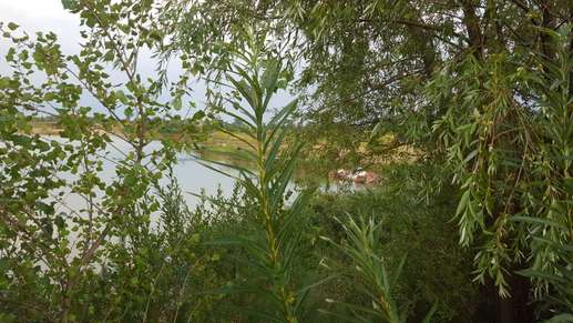 Ajout d'une photo à un emplacement