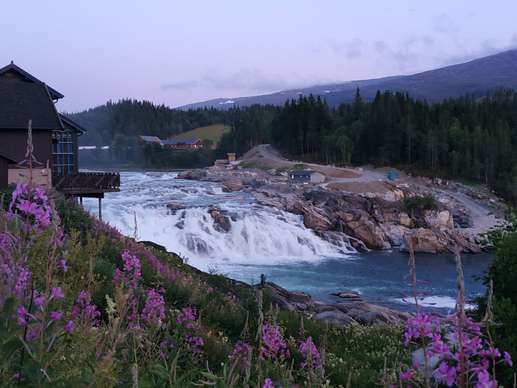 Added a photo to a location