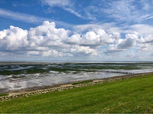 Een foto toegevoegd aan een locatie