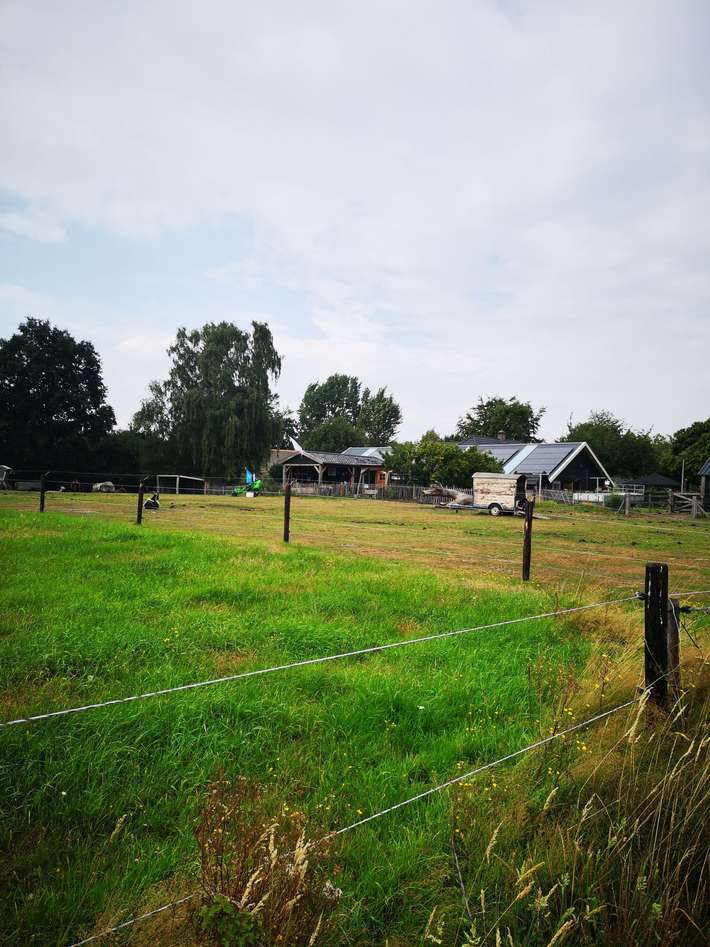 Camperlocatie Scheer's Hoeve