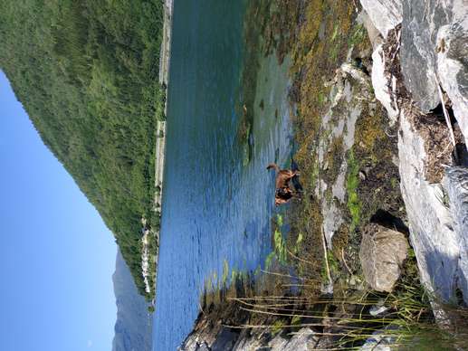 Added a photo to a location