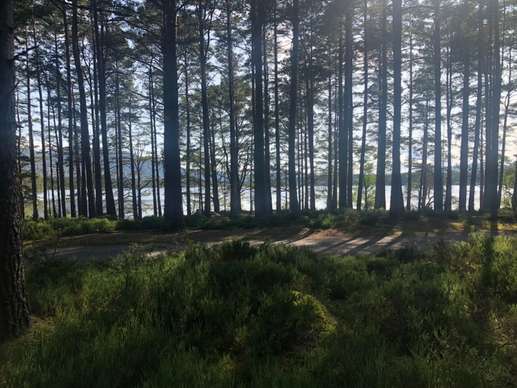 Added a photo to a location