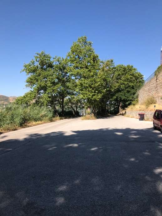 Added a photo to a location