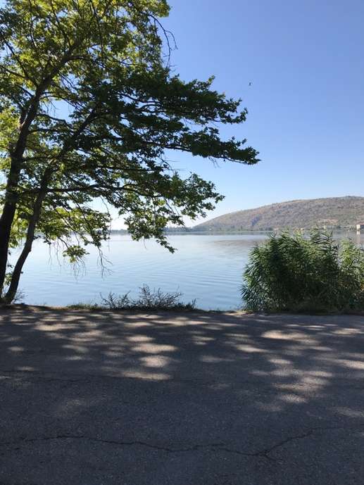 Added a photo to a location