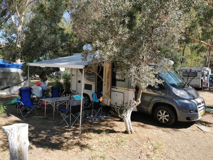 Zetas Kamp