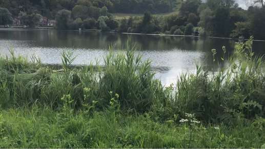 Added a photo to a location