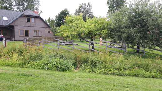 Added a photo to a location