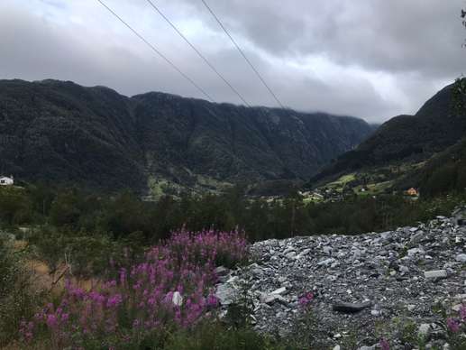 Added a photo to a location