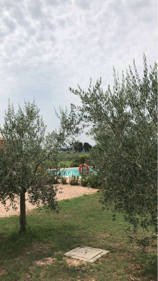 Een foto toegevoegd aan een locatie