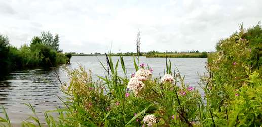 Een foto toegevoegd aan een locatie