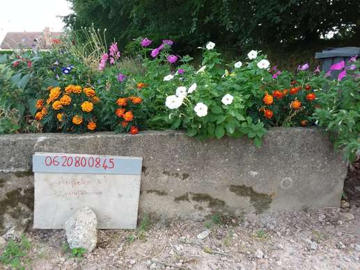 Aggiunta una foto a una posizione