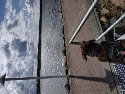 Added a photo to a location