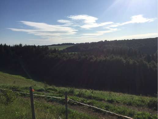 Einem Ort wurde ein Foto hinzugefügt