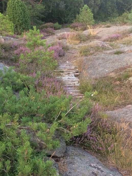 Added a photo to a location