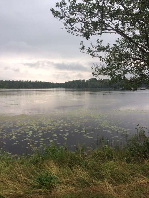 Added a photo to a location