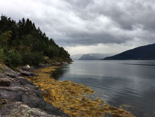 Added a photo to a location