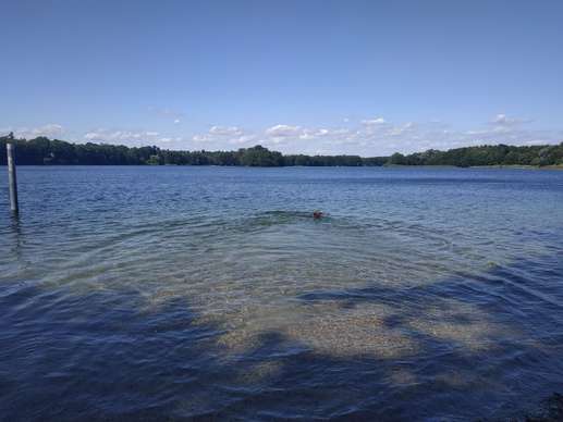 Added a photo to a location