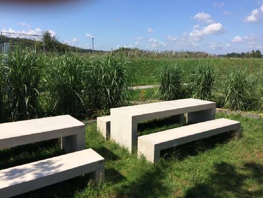 Added a photo to a location