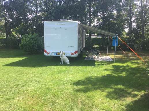 Een foto toegevoegd aan een locatie