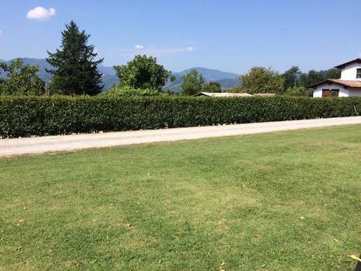 Added a photo to a location