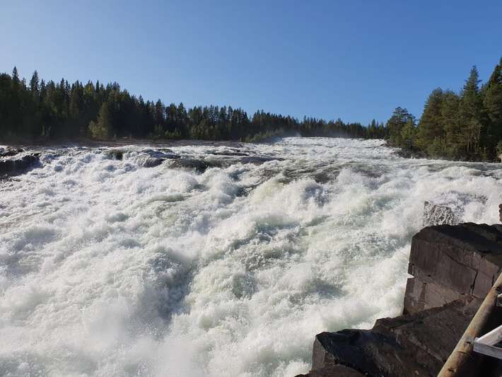 Brudforsen