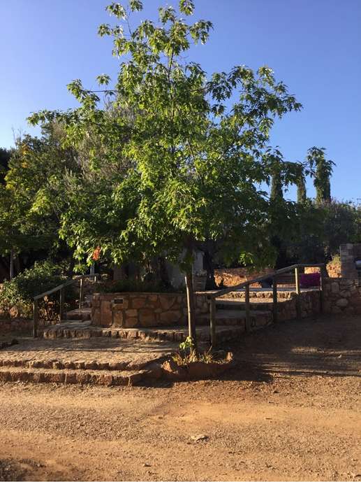 Added a photo to a location