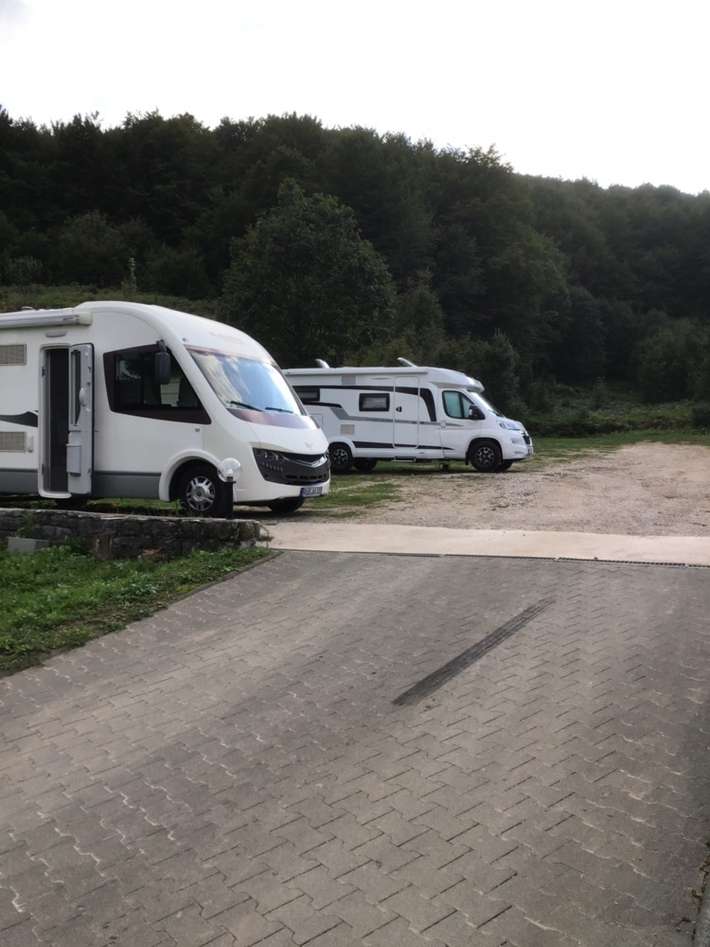 Cvetkonic