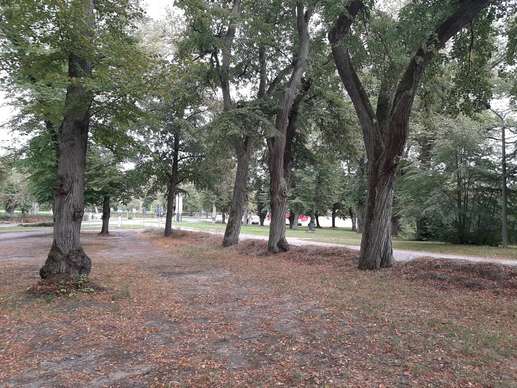 Added a photo to a location