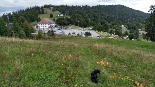 Added a photo to a location