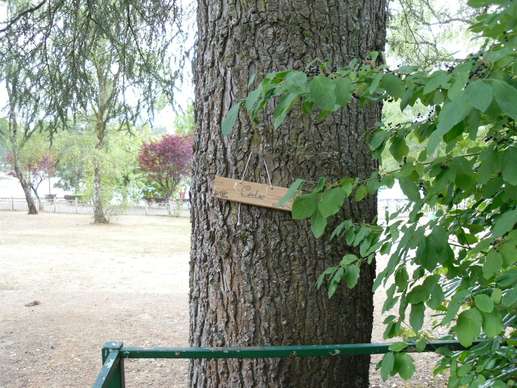 Ajout d'une photo à un emplacement
