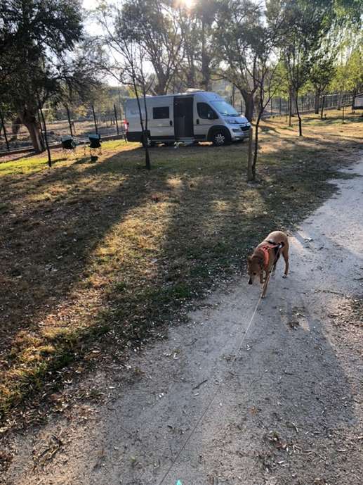 Aggiunta una foto a una posizione