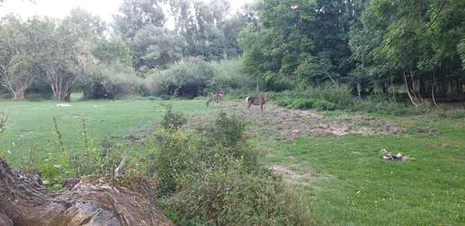 Added a photo to a location