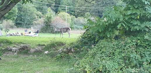 Added a photo to a location