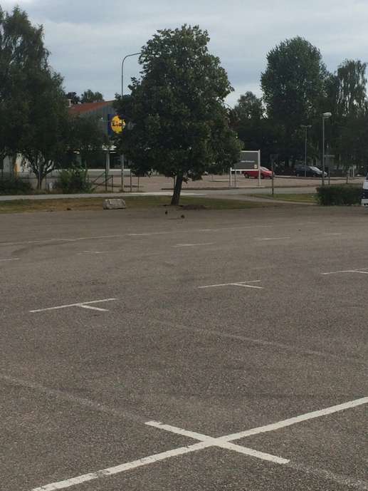 Added a photo to a location