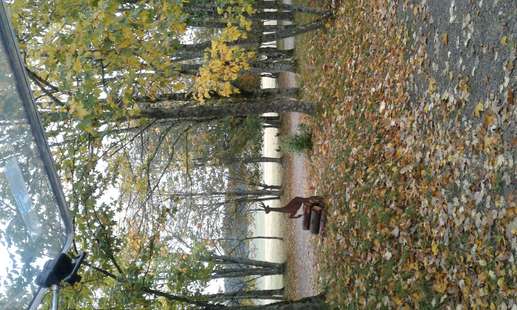 Added a photo to a location