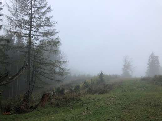 Ajout d'une photo à un emplacement