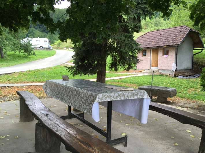 Cvetkonic
