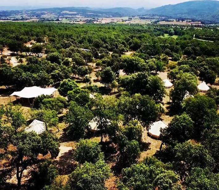 Camping sous les étoiles