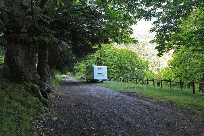 Camping Camaldoli