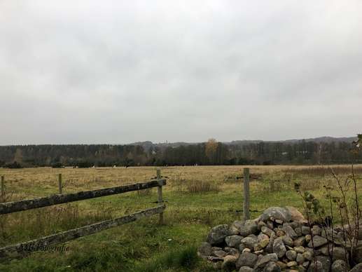 Een foto toegevoegd aan een locatie