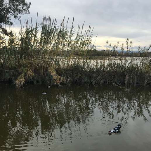 Añadió una foto a una ubicación