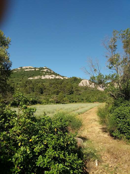 Domaine de Sault