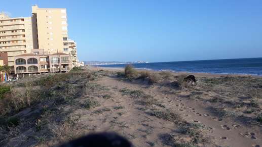 Añadió una foto a una ubicación