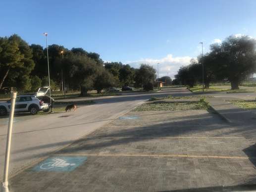 Added a photo to a location