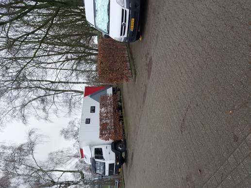 Added a photo to a location
