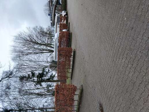 Added a photo to a location