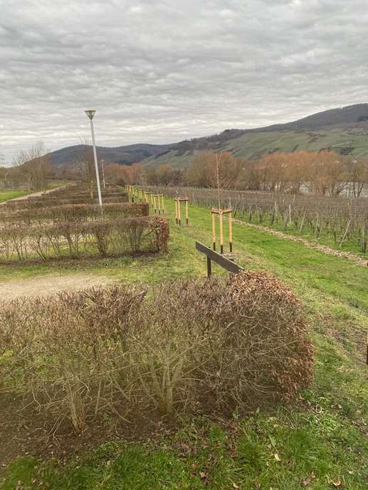 Aggiunta una foto a una posizione